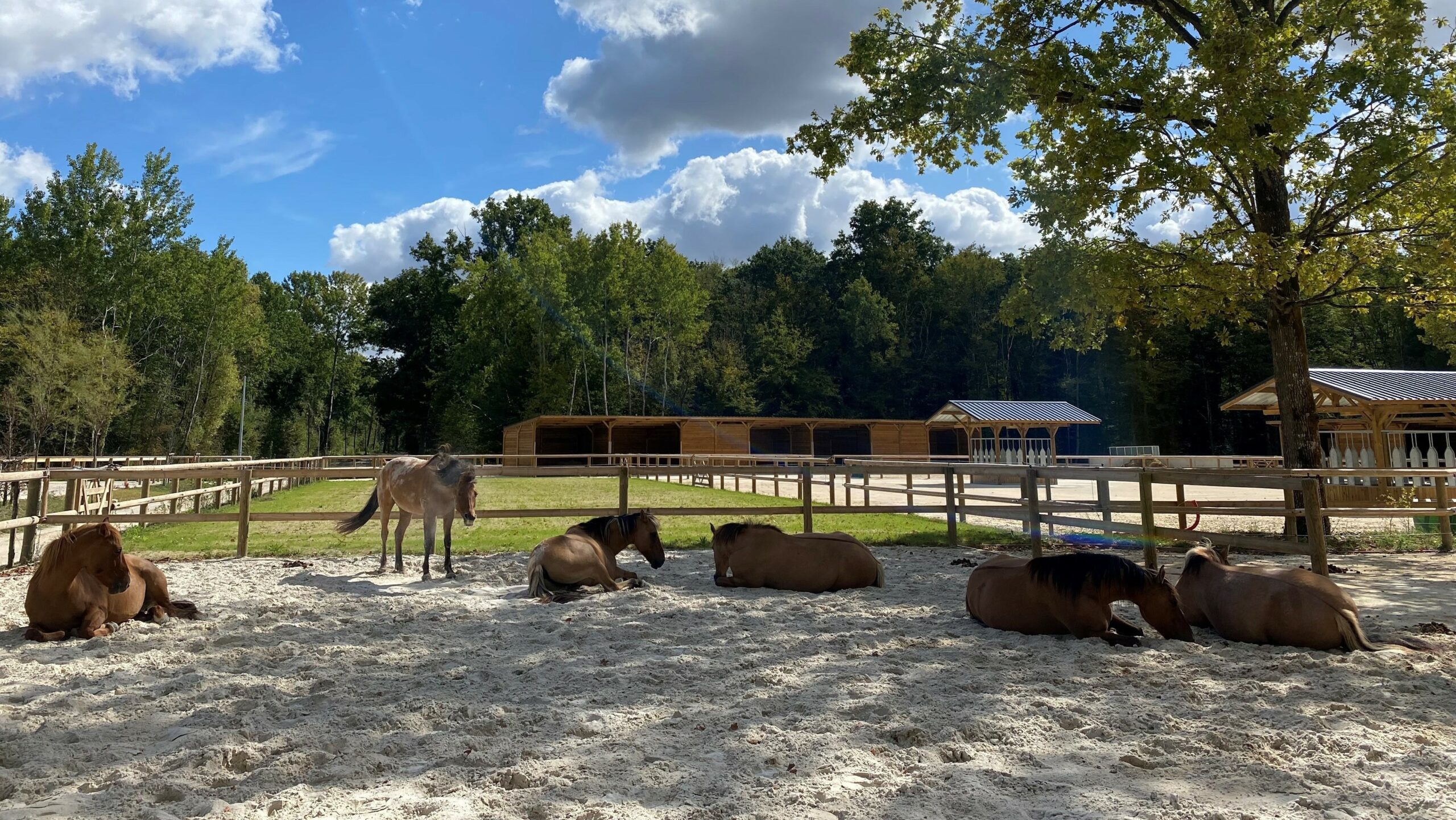 Bienvenue sur Gecurie !